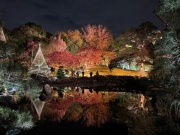 画像(180x135)・拡大画像(640x480)