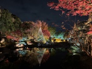 画像(180x135)・拡大画像(640x480)